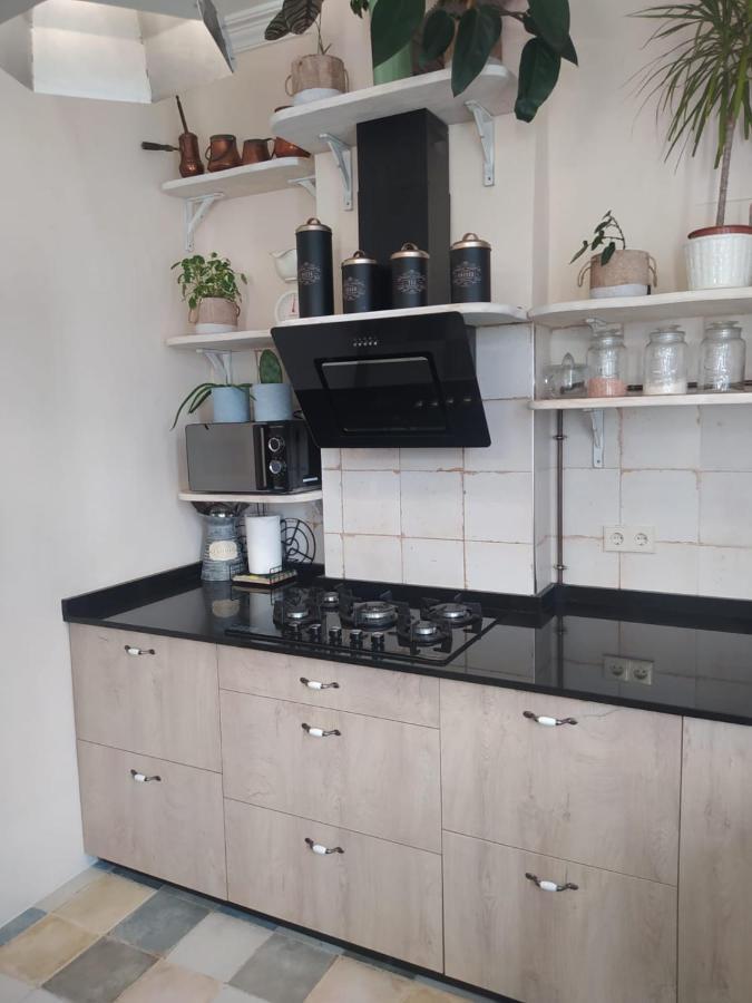 Piso Iwvaxi, Gallery House. Ourense. Apartment Ourense